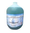 Ver Información de Jabón Liquido para Manos Lavihand 3785 cc en Verines.com